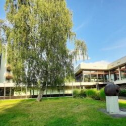 Tagungsort-Trier-Baum