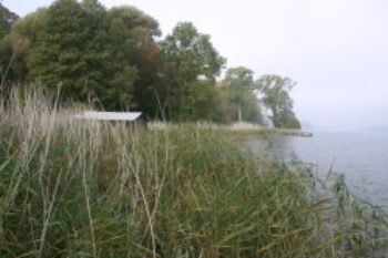 am-Ufer-des-Ruppiner-Sees